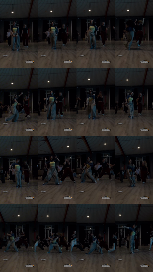 afa6c022-e953-40bd-b565-1207529c3ac6.mp4_grid.png