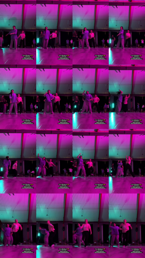 e188d176-16dc-4288-a636-0c042a5fd790.mp4_grid.png